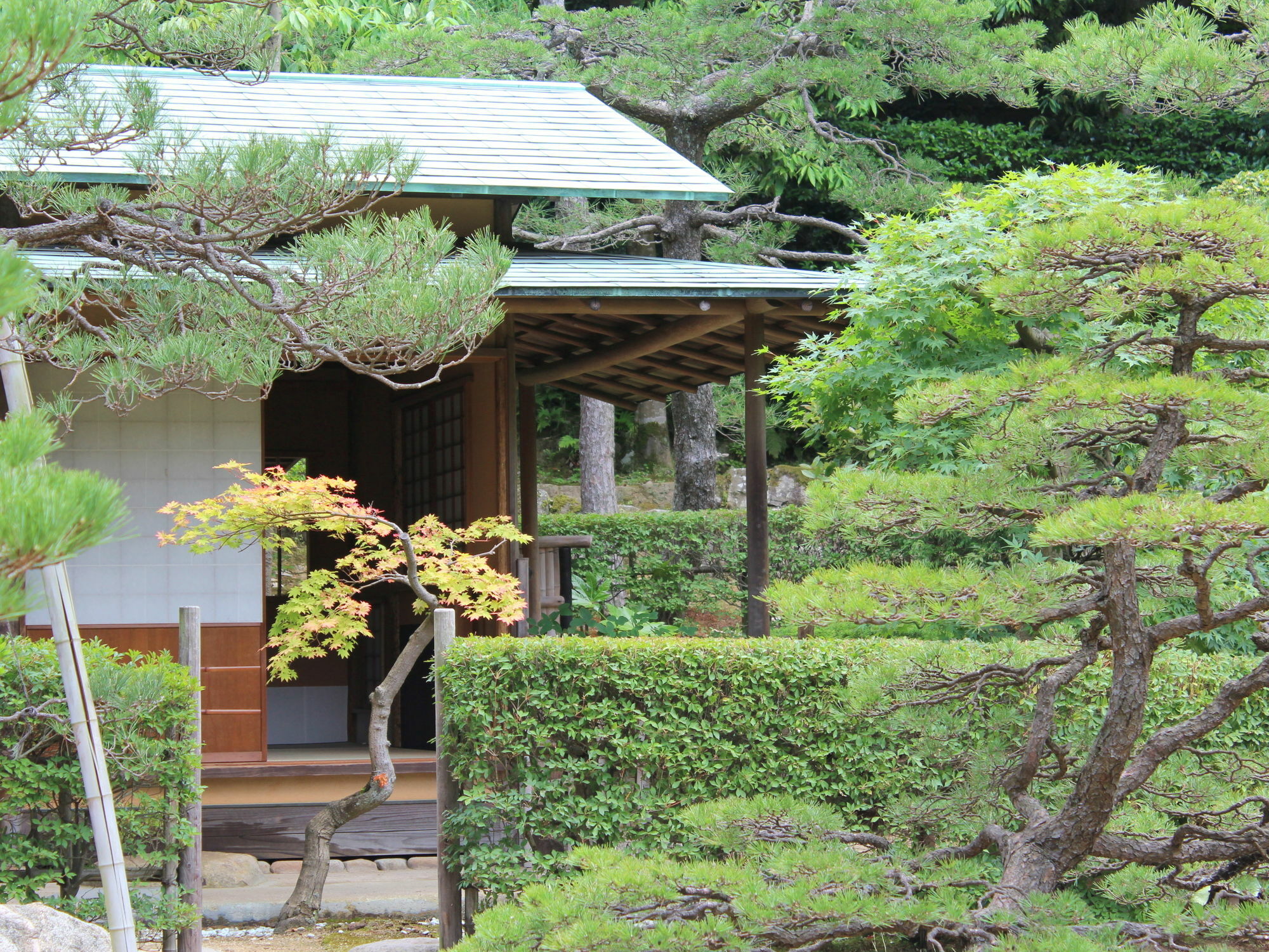 Hotel Gyokusen Matsue Bagian luar foto